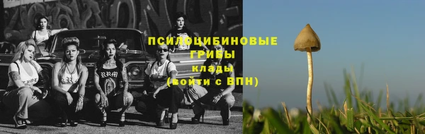 прущие крисы Аркадак